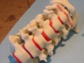 3D Printed spine model